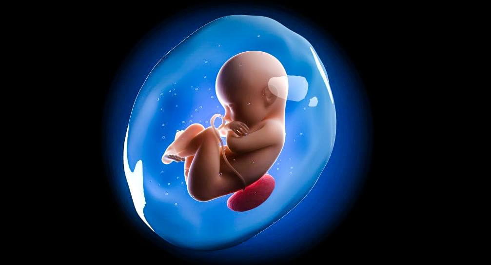 New non-invasive DNA-test for the unborn child - ICT&health | Official ...