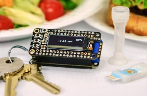 Key chain attach iEAT device can monitor food for allergens